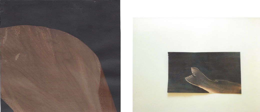 Serie: "Ikonos2"