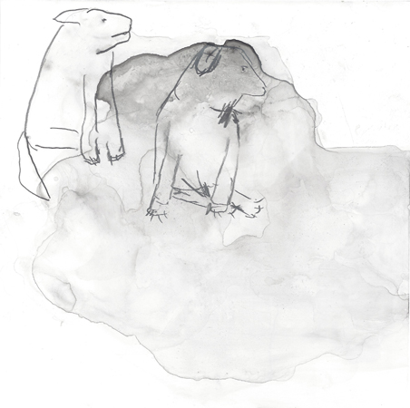 Serie: "waldung"