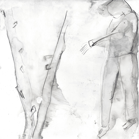 Serie: "waldung"