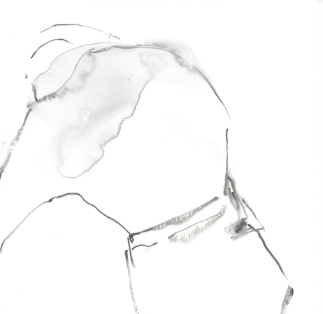 Serie: "waldung"